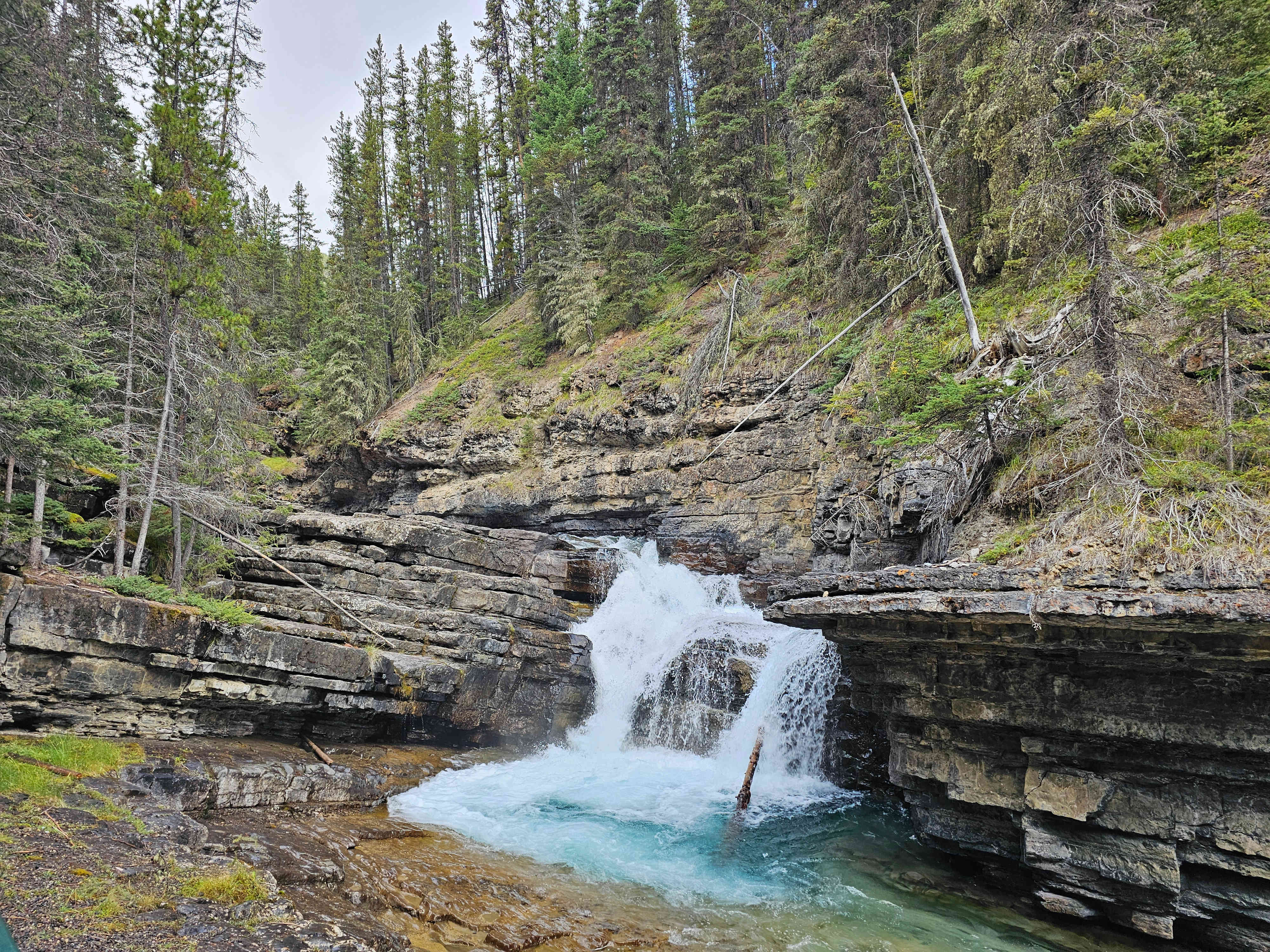 NP Banff